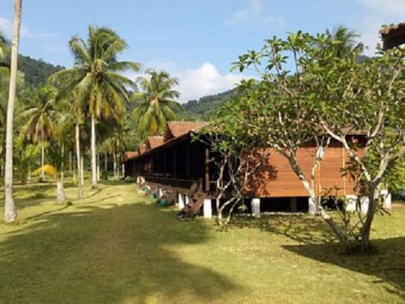 garden chalet di d coconut resort pulau besar