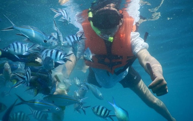 浪中岛萨里浪中岛太平洋温泉度假村的游客正在海水中与鱼群一起浮潜