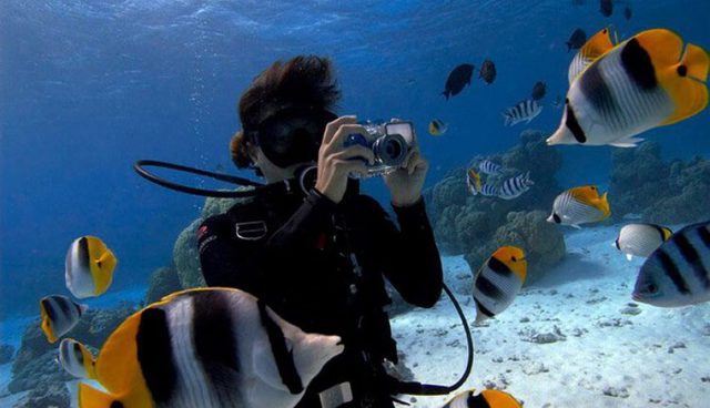 Tourists on Tioman Island use cameras to photograph marine life