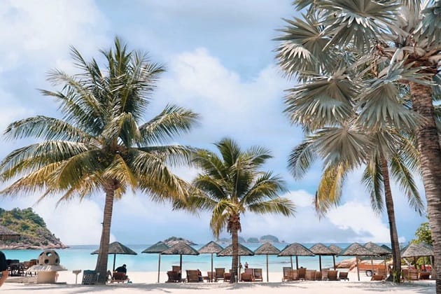 热浪岛阳光明媚的海滩上棕榈树和大雨伞