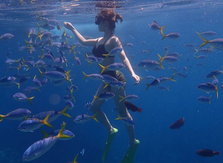 woman snorkeling perhentian island fish