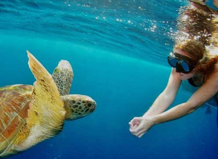 woman snorkeling turtle mataking island