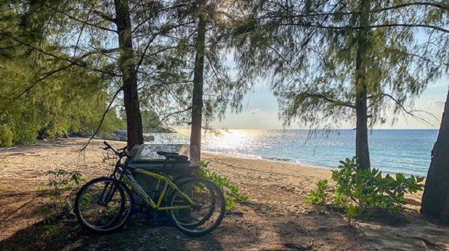 three bicycles resting on beach of pulau tioman island beach access under a shady trees