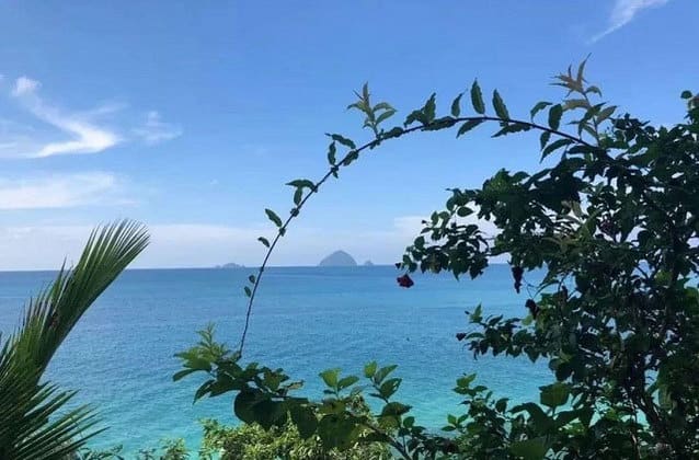 perhentian island blue sea behind green foliage