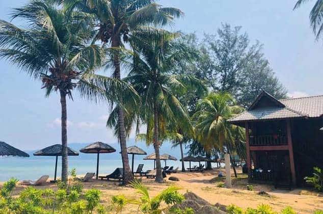 straw huts and tall palm trees on beach access of pulau tioman island 