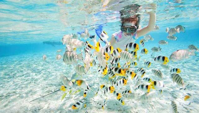 women snorkeling with colorful tropical fishes in clear sea of pulau tioman island