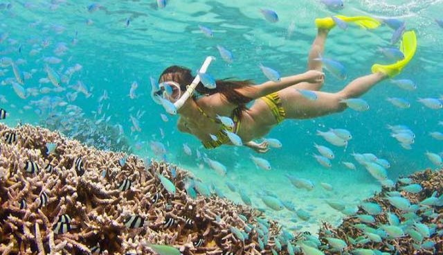 刁曼岛清澈海水中浮潜的女人还有很多小鱼