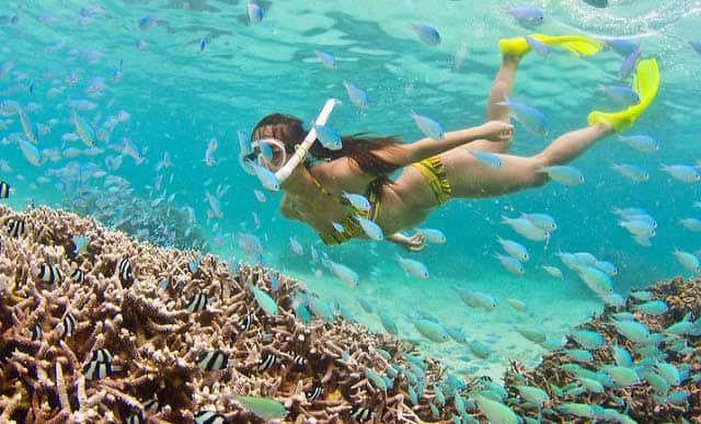 woman snorkeling at clear sea water of pulau tioman island with plenty small fishes