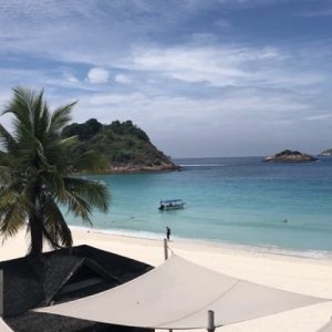 sunny pulau redang beach palm tree and blue seawater