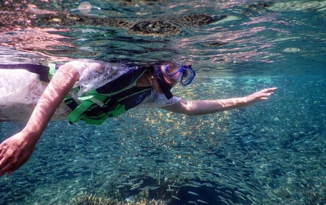 tourist snorkeling at perhentian island with plenty fishes