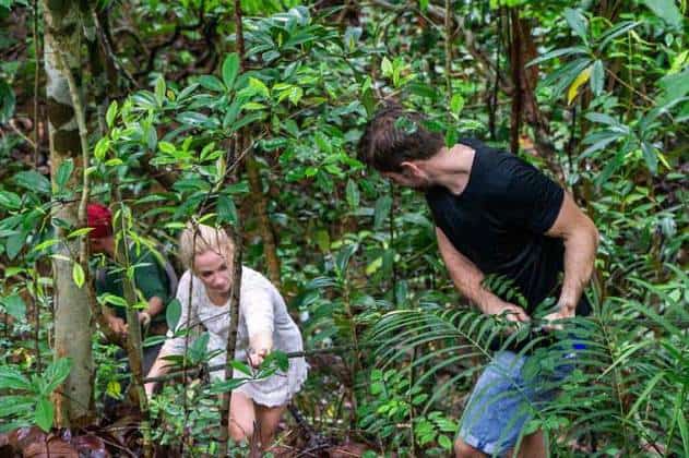 people jungle trekking in pulau besar island