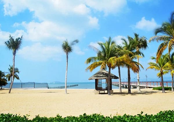 beach access with palm trees in tinggi island