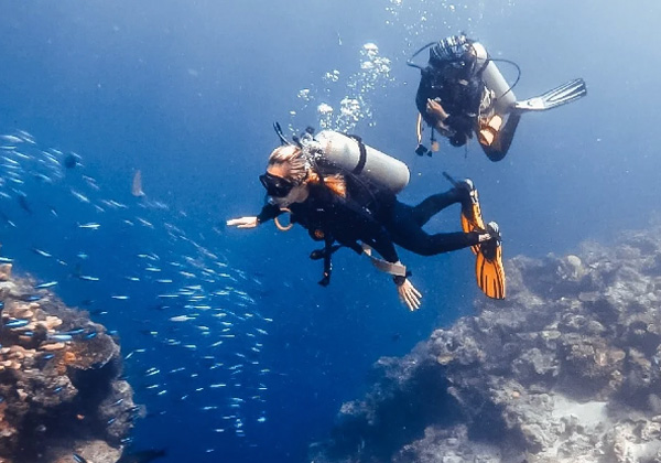 semporna sipadan tourists diving underwater