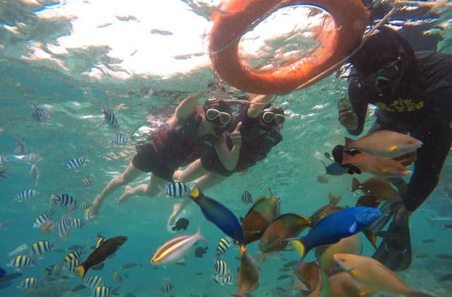 tourists in semporna sense residence home stay snorkeling with fishes