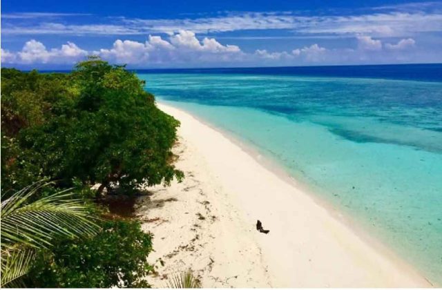 malaysia island beach tree sea aerial